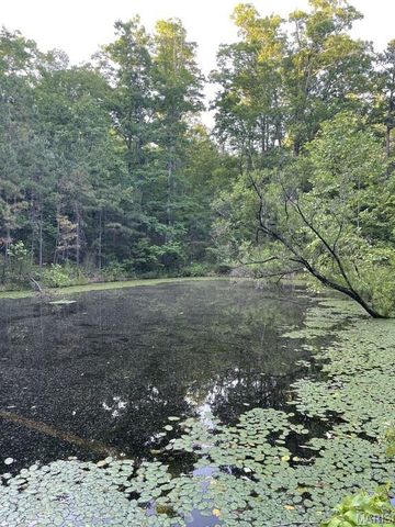 7306 Highway 119, Salem, MO 65560