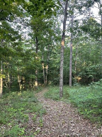 7306 Highway 119, Salem, MO 65560