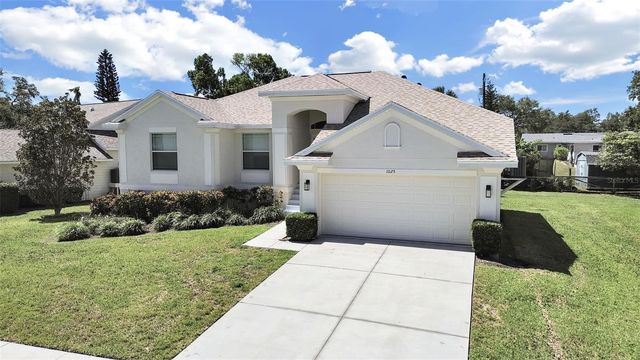 1025 LAKE AVOCA PLACE, Tarpon Springs, FL 34689