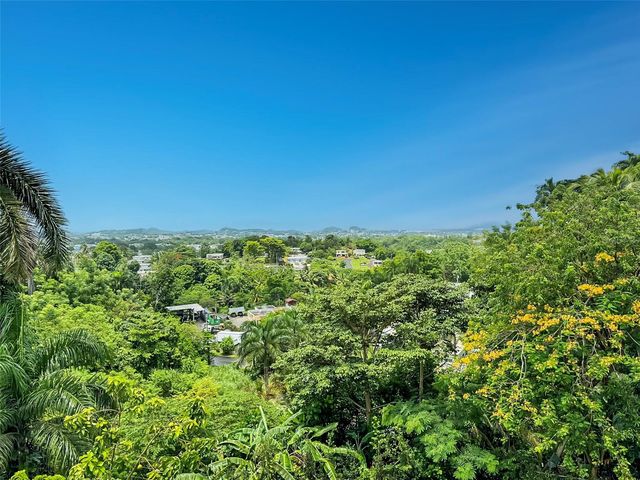 SR-830 Int LA FLORESTA SECTOR Lot 3, Bayamon, PR 00956