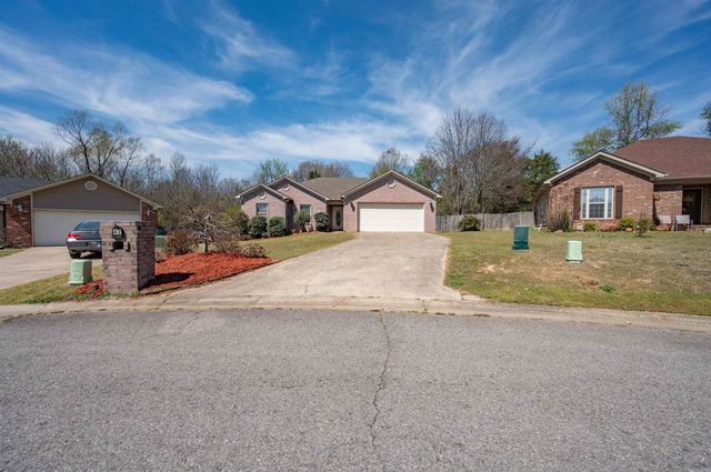 41 Lariat Drive, Austin, AR 72007