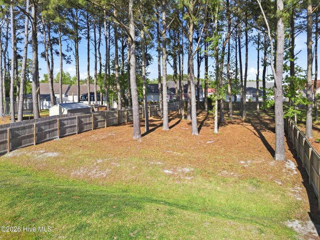 519 White Shoal Way, Sneads Ferry, NC 28460