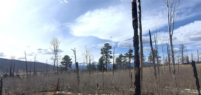Lot 1209 Emery Loop, Fort Garland, CO 81133