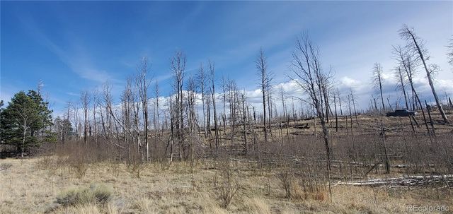 Lot 1209 Emery Loop, Fort Garland, CO 81133