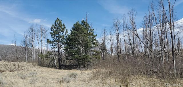 Lot 1209 Emery Loop, Fort Garland, CO 81133