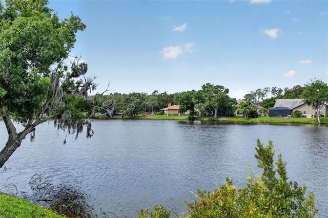 4856 WESTCHESTER COURT, Oldsmar, FL 34677