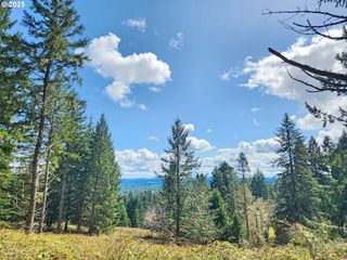BOLTON HILL Rd N, Veneta, OR 97487