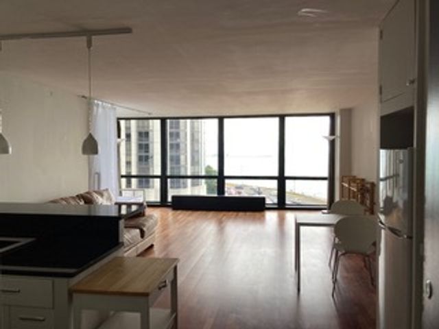 900 N Lake Shore Drive 711, Chicago, IL 60611