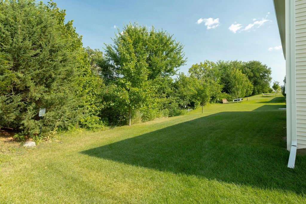 1237 Maple Lane, Carver, MN 55315 — photo 4