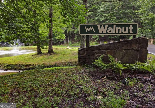 66 Pine Ridge Court, Ellijay, GA 30536