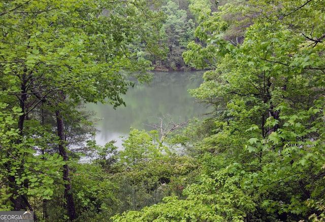 66 Pine Ridge Court, Ellijay, GA 30536
