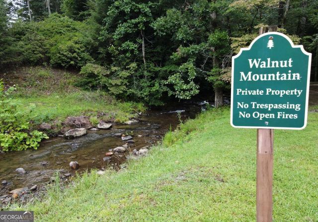 66 Pine Ridge Court, Ellijay, GA 30536