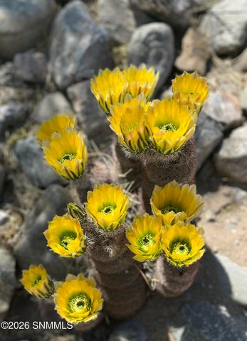 5708 Via Estrella, Las Cruces, NM 88011