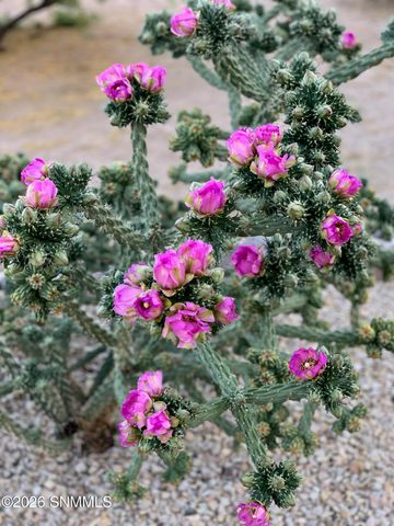 5708 Via Estrella, Las Cruces, NM 88011