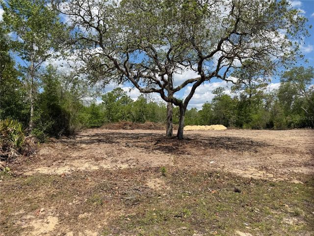 TBD NE 105TH AVENUE, Bronson, FL 32621