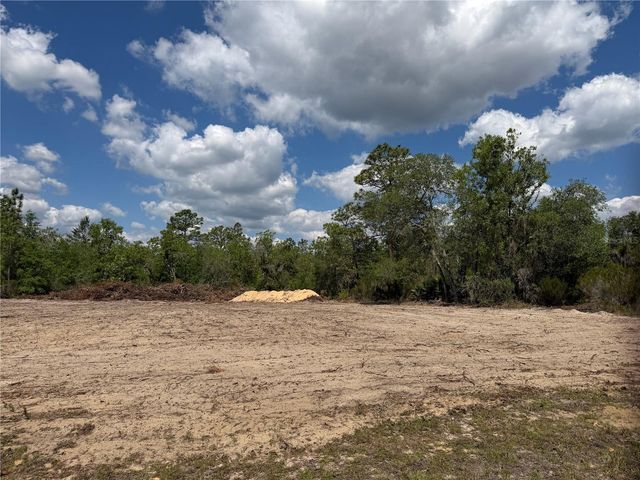 TBD NE 105TH AVENUE, Bronson, FL 32621