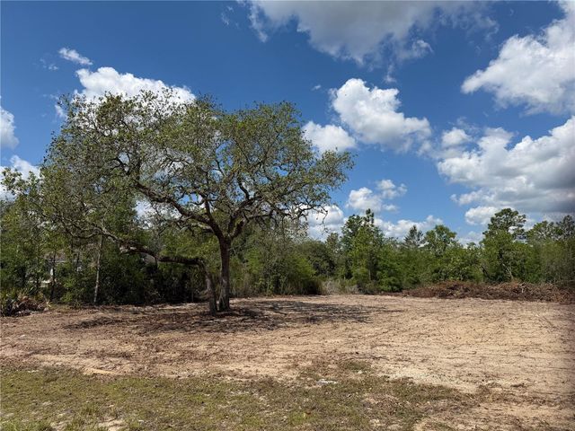 TBD NE 105TH AVENUE, Bronson, FL 32621