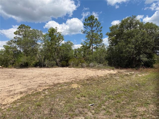 TBD NE 105TH AVENUE, Bronson, FL 32621