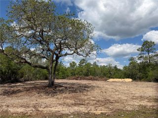 TBD NE 105TH AVENUE, Bronson, FL 32621