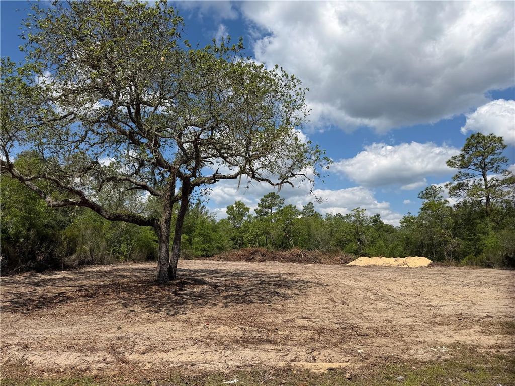 TBD NE 105TH AVENUE, Bronson, FL 32621