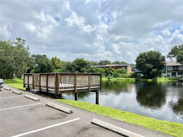 7011 WATERSIDE DR, Tampa, FL 33617