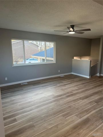 902 Glencoe, Park Hills, MO 63601