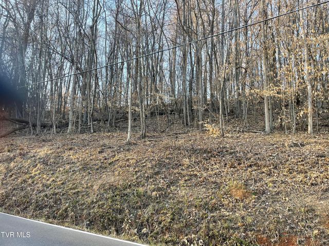 Tbd Chestnut Ridge Road, Kingsport, TN 37664