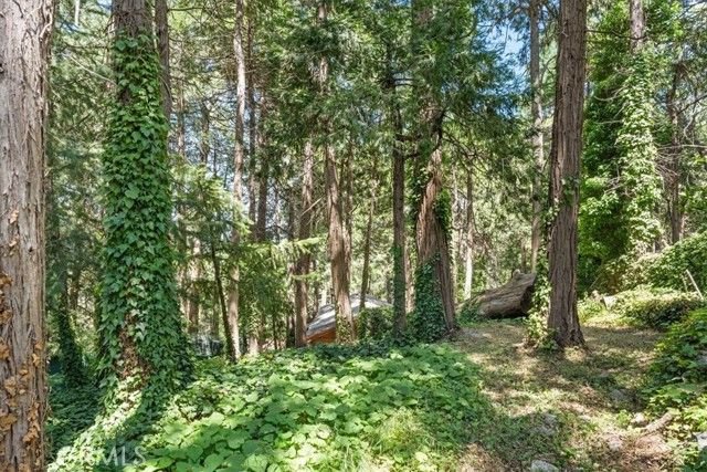 23717 Scenic, Crestline, CA 92325