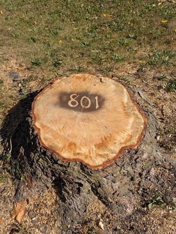 801 McKinnie Avenue, Fort Wayne, IN 46806