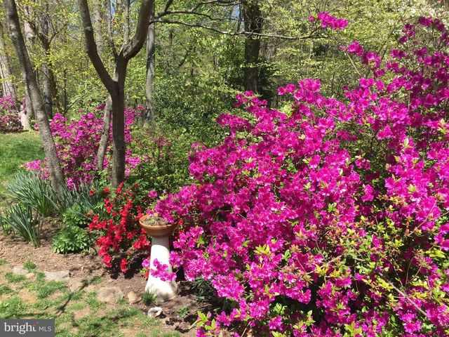 935 LOXFORD TER, Silver Spring, MD 20901