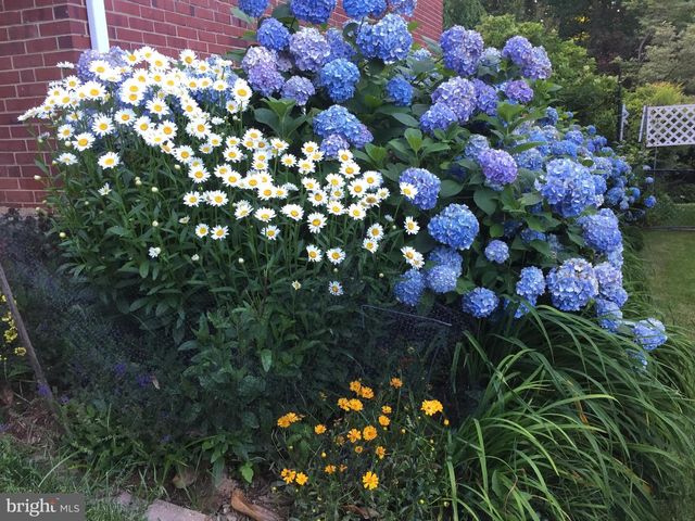 935 LOXFORD TER, Silver Spring, MD 20901