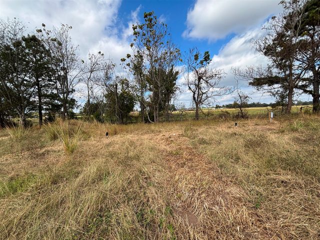 2443 FM 1653, Ben Wheeler, TX 75754