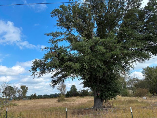 2443 FM 1653, Ben Wheeler, TX 75754