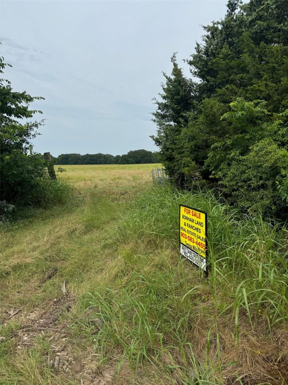 TBD County Road 2605, Bonham, TX 75418