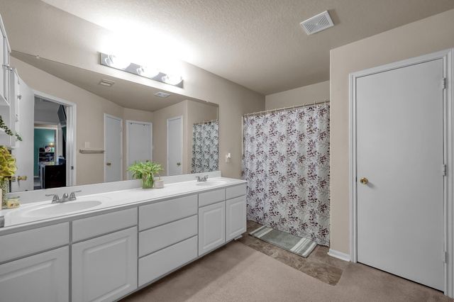 29341 Forest Floor Lane, Spring, TX 77386