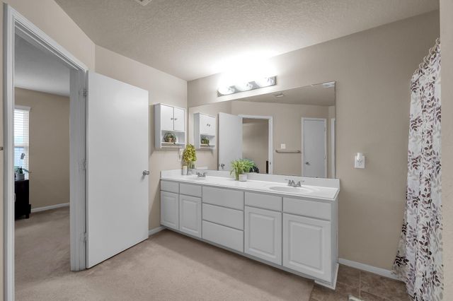 29341 Forest Floor Lane, Spring, TX 77386