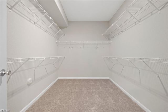 203 Halifax CT, Shawboro, NC 27973