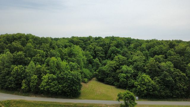 0 Love Branch Rd, Hampshire, TN 38461