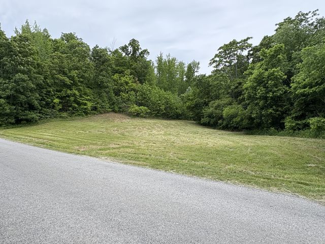0 Love Branch Rd, Hampshire, TN 38461