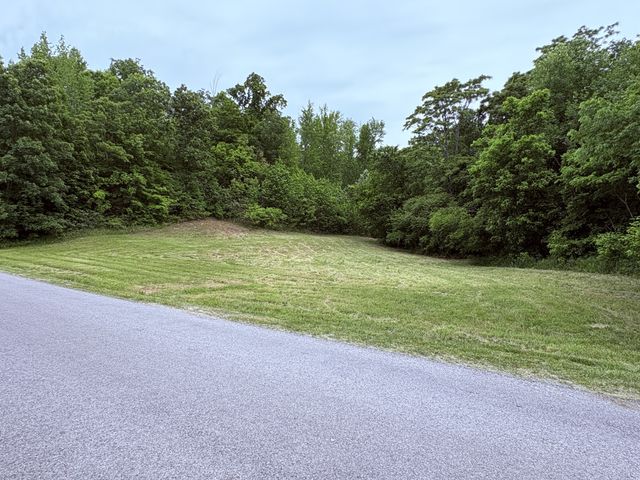 0 Love Branch Rd, Hampshire, TN 38461