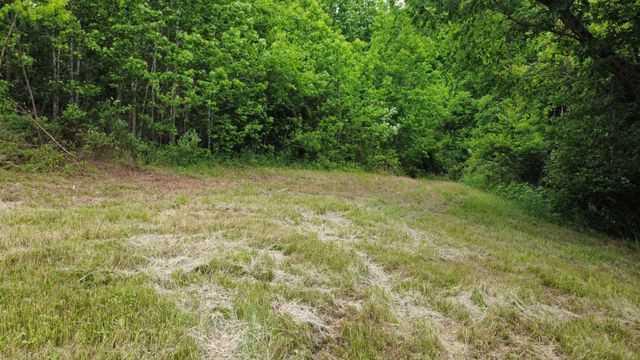 0 Love Branch Rd, Hampshire, TN 38461