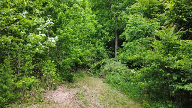 0 Love Branch Rd, Hampshire, TN 38461