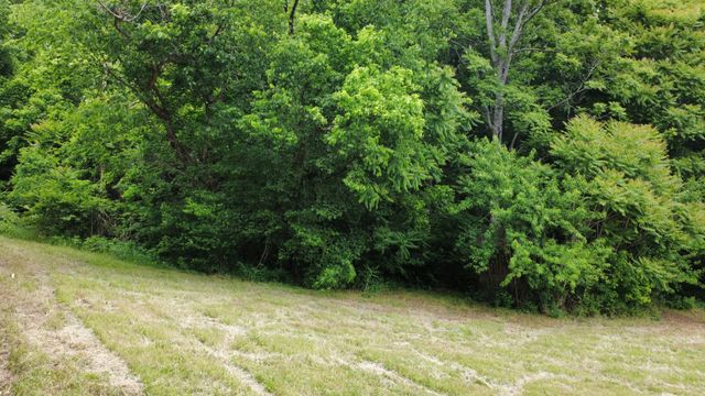 0 Love Branch Rd, Hampshire, TN 38461