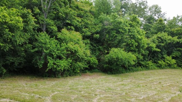 0 Love Branch Rd, Hampshire, TN 38461