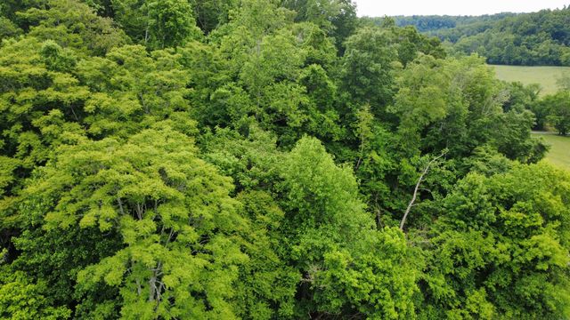 0 Love Branch Rd, Hampshire, TN 38461