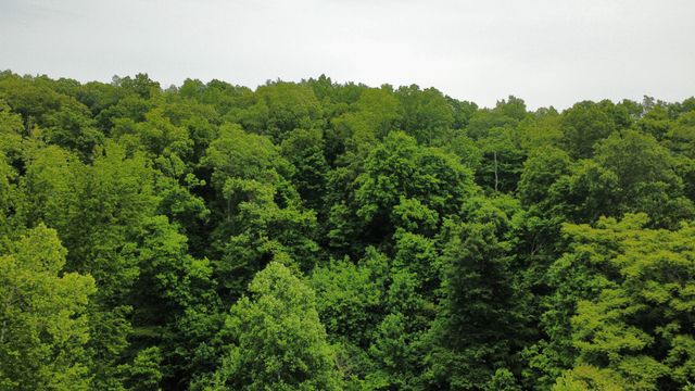 0 Love Branch Rd, Hampshire, TN 38461