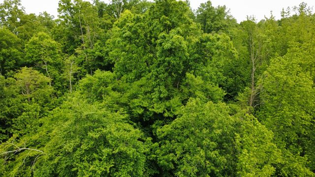 0 Love Branch Rd, Hampshire, TN 38461