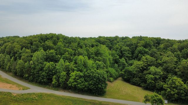 0 Love Branch Rd, Hampshire, TN 38461