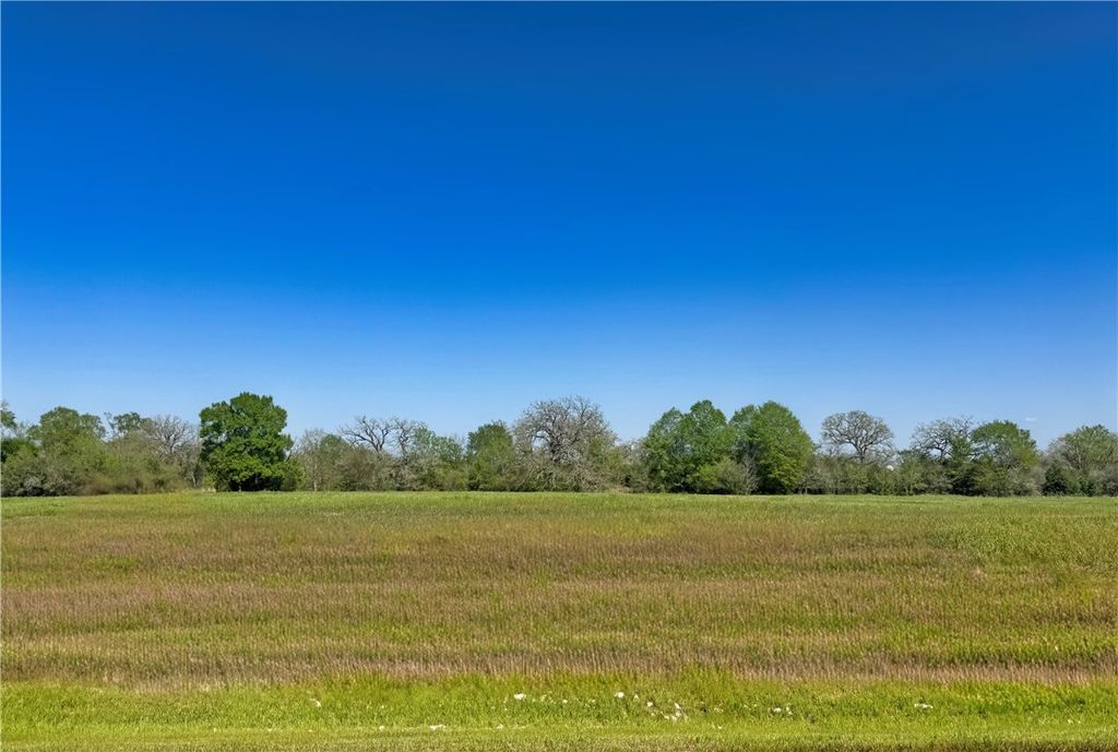 10196 Panther Creek Drive, Iola, TX 77861 — exterior