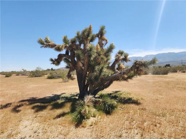 30600 Morningside, Lucerne Valley, CA 92356